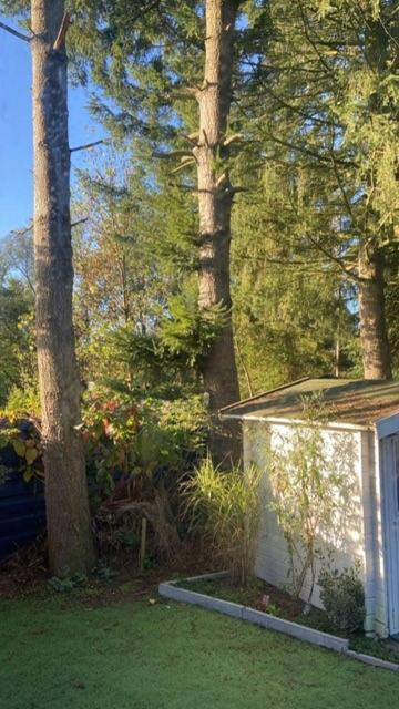 Boutique Chalet Veluwe Putten Dış mekan fotoğraf